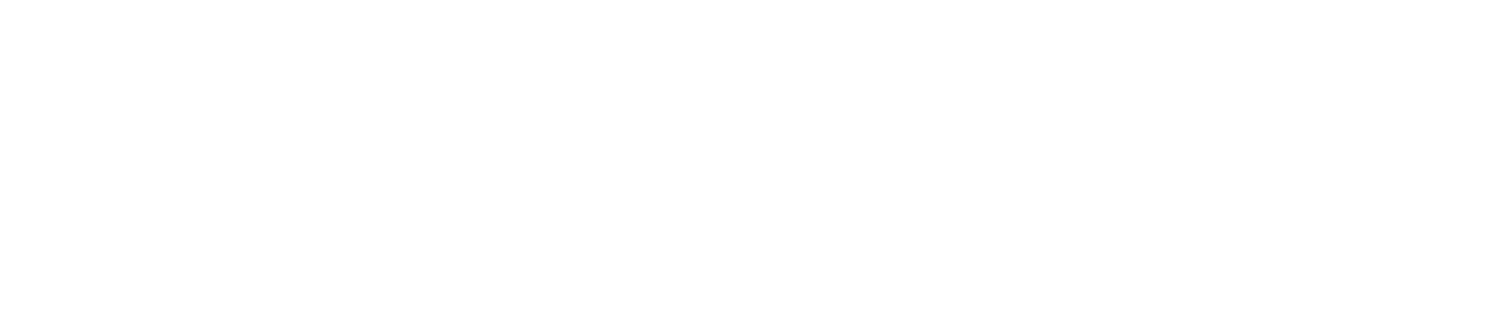 ProMeet Logo